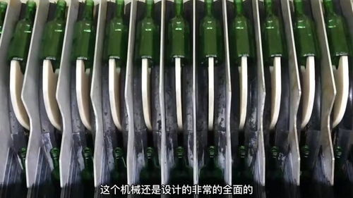工廠生產(chǎn) 酒瓶 包裝全過程,全自動(dòng)機(jī)械日產(chǎn)100萬瓶,漲知識(shí)了